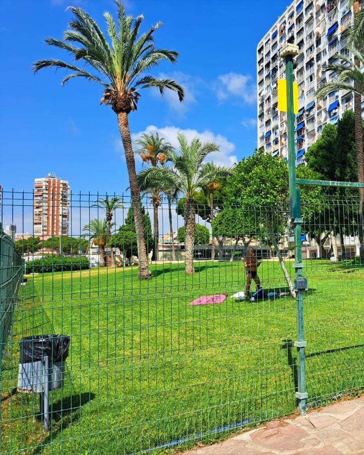 Comfortable Studio With Sea View Leilighet Benidorm Eksteriør bilde